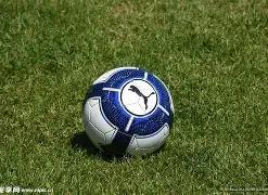 武磊归队,上海海港官,方宣布结束,新葡京,新葡京app,新葡京娱乐,新普京赌场